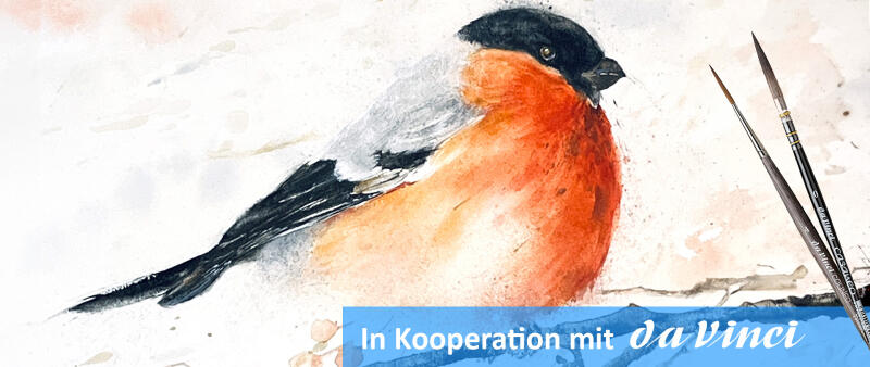 After Work: Alle Vögel sind schon da – der Dompfaff (Gimpel)
