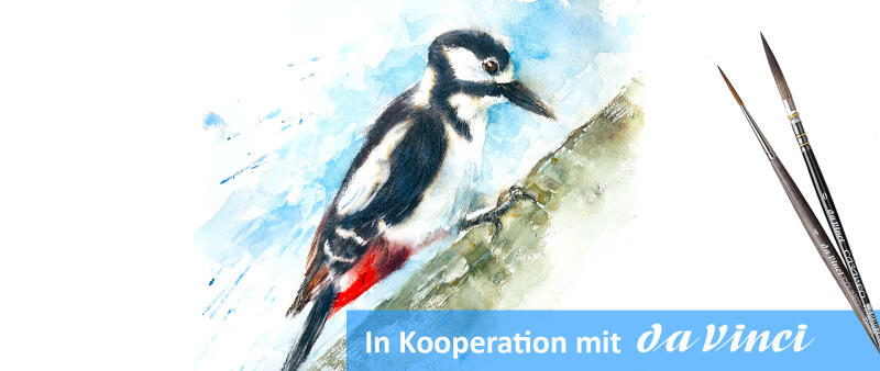 After Work: Alle Vögel sind schon da – der Specht