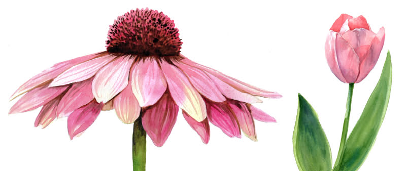 After Work: Realistische Blumen Malen leicht gemacht