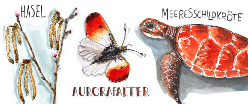After Work: Einstieg ins Nature Journaling