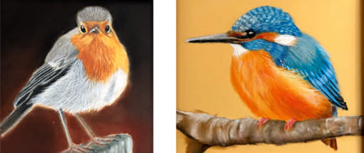 After Work: Vogelportraits malen mit Pastellstiften