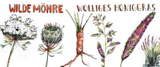After Work: Nature Journaling - Alles was wächst