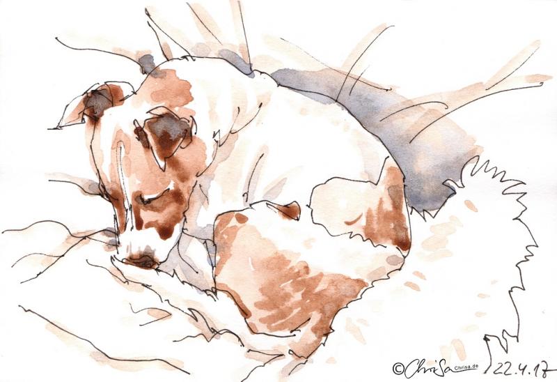 Auf den Hund gekommen – die bewegte Tierskizze