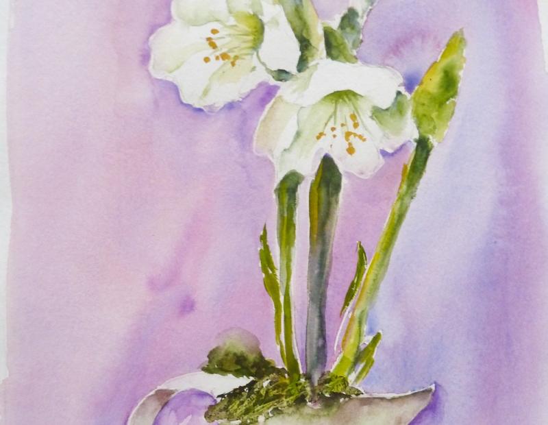 Leichte Techniken in der Blumen-Aquarellmalerei