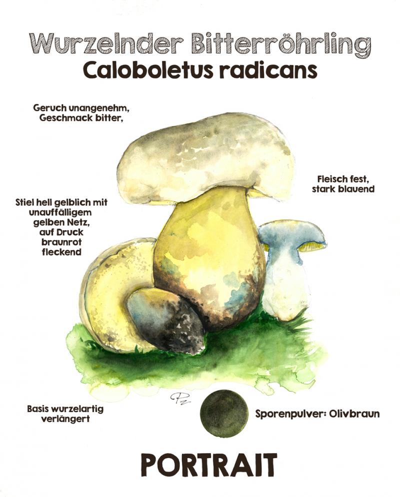 Natur illustrieren
