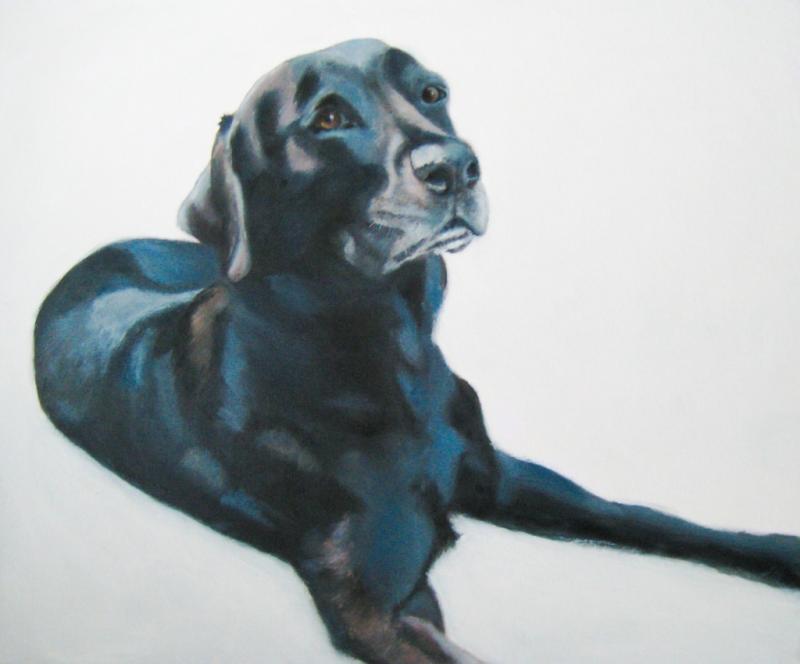 Tiere!