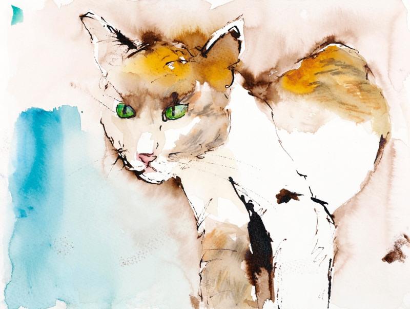 Fellstrukturen: Tiere in unterschiedlichen Aquarelltechniken