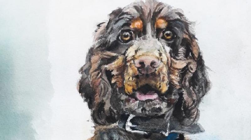 Fellstrukturen: Tiere in unterschiedlichen Aquarelltechniken