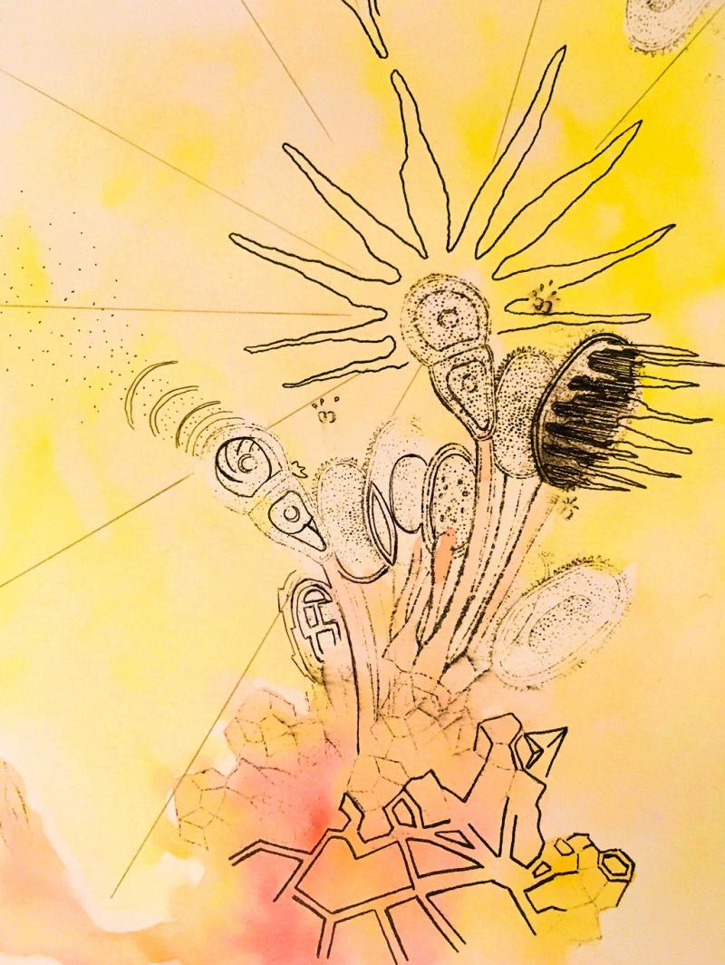 Surreale Zeichnung: Frottage, Collage und phantastische Begegnungen auf Papier