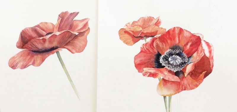 Florale Aquarelle