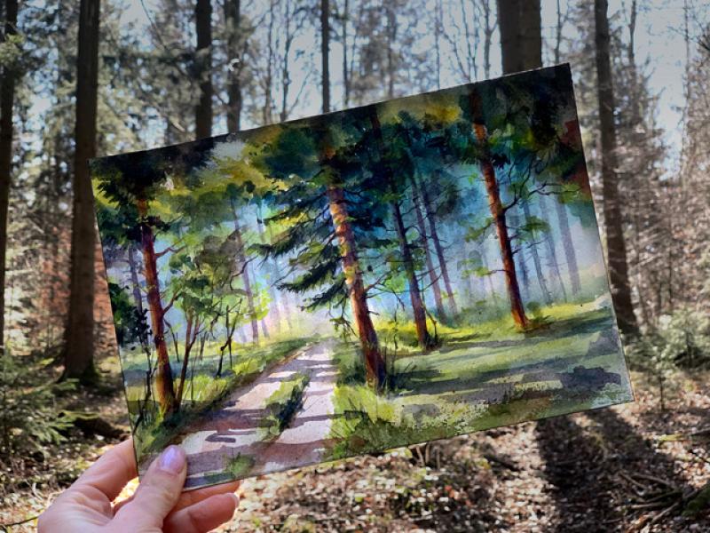 Bäume und Wald in Aquarell