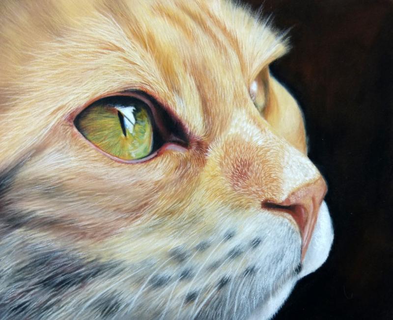 Katzen und Wildkatzen malen in Pastell